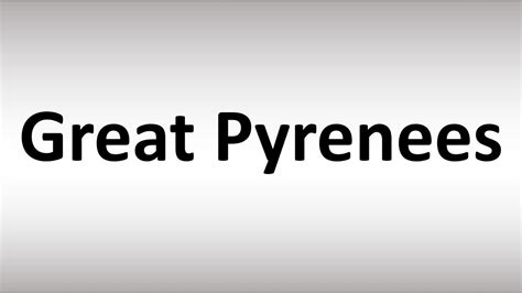 pyrenees pronunciation|How to pronounce Great Pyrenees in English .